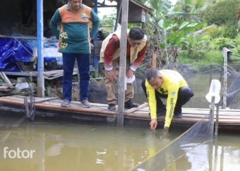Pemerintah Salurkan Sejumlah Alat Pertanian Bagi Para Petani