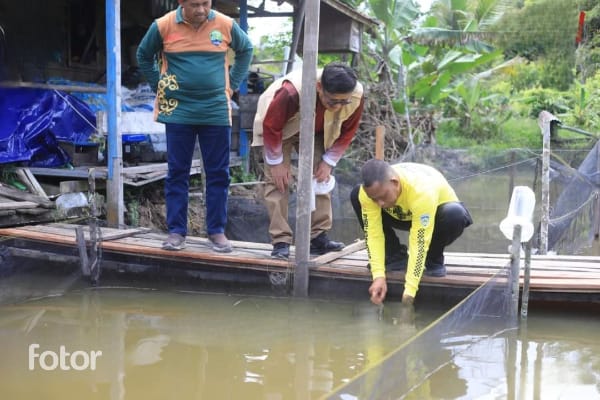 Pemerintah Salurkan Sejumlah Alat Pertanian Bagi Para Petani