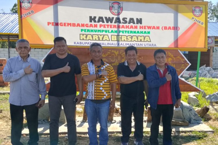 Ternak Hewan Terbesar Di Kaltara Rencana Diresmikan Oleh Gubernur