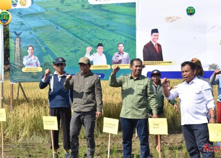 Perluasan Areal Pertanian Jadi Komitmen Bersama Wujudkan Swasembada Pangan