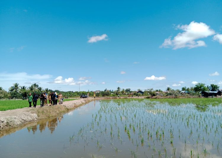 Perluasan Kawasan Pertanian Terus Dimaksimalkan
