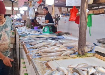 Kebutuhan Daging Masih Ditopang Luar Kaltara