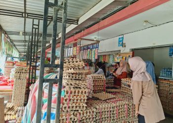 Produksi Telur Ayam Buras Di Kaltara Jadi Atensi Pemerintah