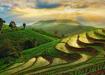 19 Paket Irigasi Didistribusikan Kepada Petani