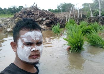 Partisipasi Petani Milenial Dibutuhkan di Kaltara