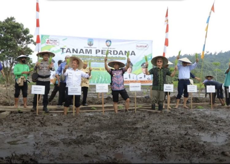 Produktivitas Panen Padi Ditargetkan 7 Ton Per Hektare