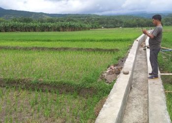 Peran Semua Pihak Dibutuhkan Perkuat Ketahanan Pangan