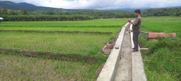 Peran Semua Pihak Dibutuhkan Perkuat Ketahanan Pangan
