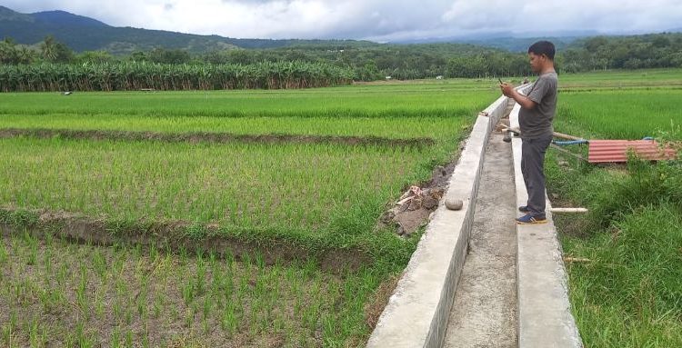Peran Semua Pihak Dibutuhkan Perkuat Ketahanan Pangan