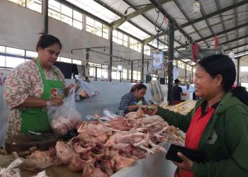 Permintaan Tinggi, Harga Daging Ayam di Tanjung Selor Diprediksi Naik