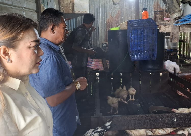 DPRD Bulungan Sidak Peternakan Ayam Mandiri di Sekitar Pasar Induk