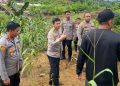 Pantau Ketahanan Pangan, Sasar Lahan Pertanian Warga