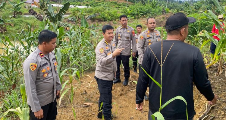 Pantau Ketahanan Pangan, Sasar Lahan Pertanian Warga