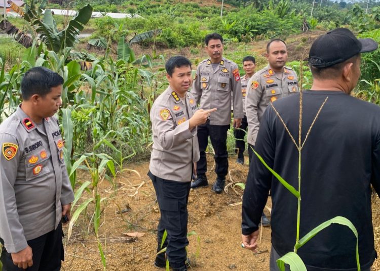 Pantau Ketahanan Pangan, Sasar Lahan Pertanian Warga