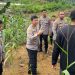 Pantau Ketahanan Pangan, Sasar Lahan Pertanian Warga