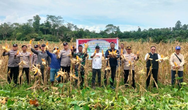 Panen Raya Jagung Serentak Tahap III Digelar di Desa Kelubir
