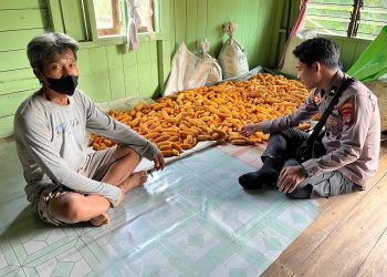 Bhabinkamtibmas Polsek Tanjung Palas Dampingi Petani Panen Jagung di Teluk Inding