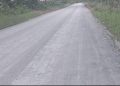 DPRD Apresiasi Pengerjaan Jalan Salimbatu