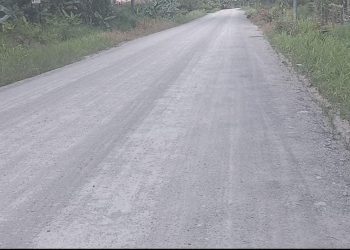 DPRD Apresiasi Pengerjaan Jalan Salimbatu