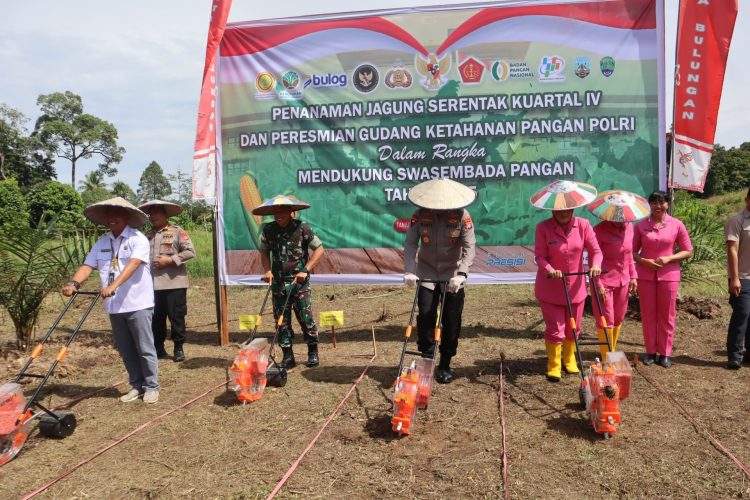 Polda Kaltara Tanam Jagung Serentak, Wujud Dukung Kemandirian Pangan
