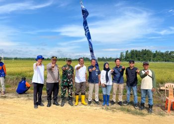 Polresta Bulungan Dukung Panen Bersama Project Agrosolution Pupuk Kaltim