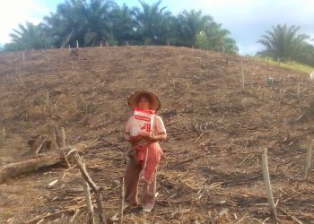 Bhabinkamtibmas Desa Pimping Dampingi Petani Tanam Jagung di Lahan 0,5 Hektare