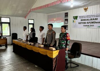 Sosialisasi Revisi RPJMDes 2025 Digelar di Tanjung Palas Barat