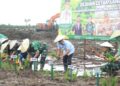 Dukung Swasembada Pangan, Bupati Bulungan Hadiri Tanam Padi Perdana di Lahan Cetak Sawah Rakyat Salimbatu