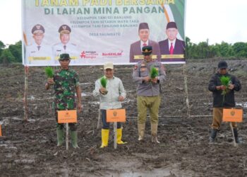Tanam Padi Bersama di Desa Salimbatu, Wujud Sinergi Dukung Ketahanan Pangan