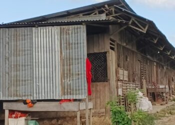 Pemotongan Unggas Mesti Dipusatkan di RPH Berstandar IPAL