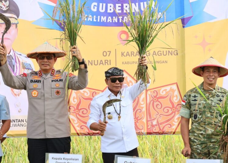 Kapolda Kaltara Hadiri Panen Raya dan Pengumuman Swasembada Pangan