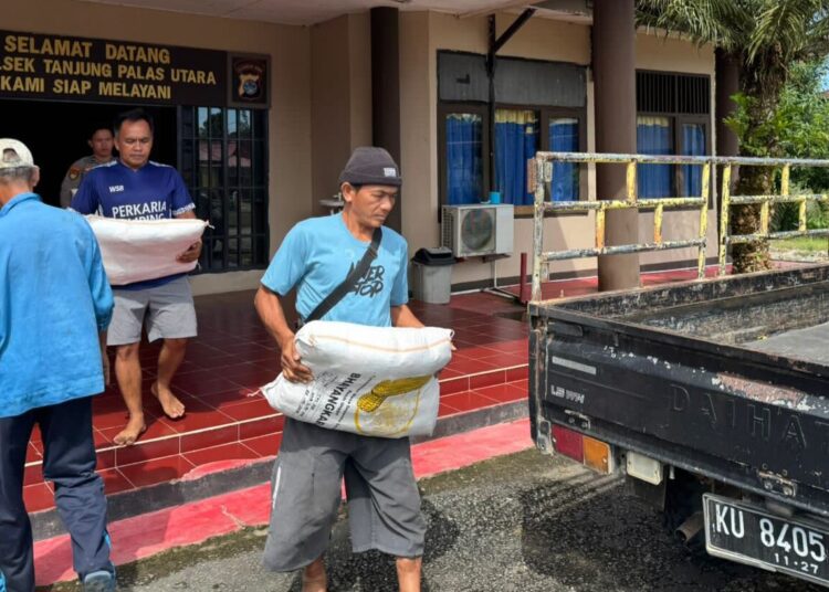 Petani Desa Pimping Terima Bantuan Benih Jagung dari Polsek Tanjung Palas Utara