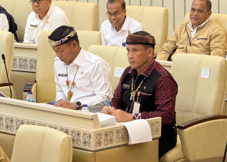 Penyelesaian Batas Negara RI-Malaysia Berjalan Sesuai Rencan
