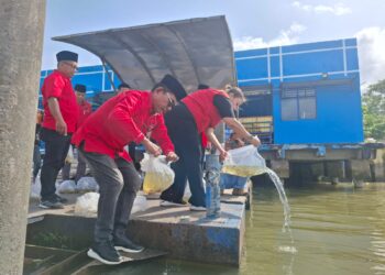 HUT ke-79 Megawati Soekarnoputri, DPC PDIP Bulungan Tebar Ribuan Benih Ikan di Sungai Kayan