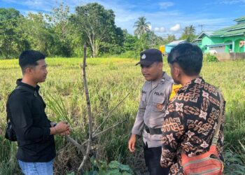 Bhabinkamtibmas Desa Antutan Dukung Ketahanan Pangan, Turun Langsung Dampingi Warga
