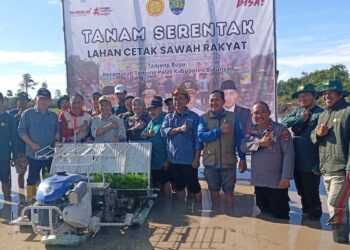 Peringati Hari Lahan Basah Sedunia Dengan Penanaman Mangrove