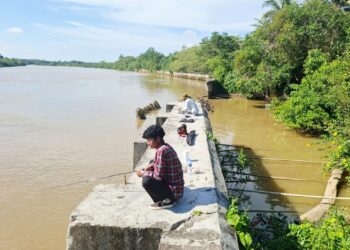 Kondisi Sheet Pile Slimau Kian Memburuk, Perbaikan Belum Masuk Prioritas