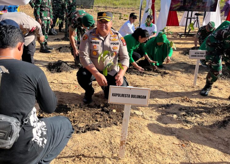Penanaman Pohon Massal Dukung Pelestarian Lingkungan