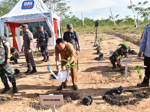 Pemkab Bulungan Komitmen Reboisasi untuk Cegah Bencana