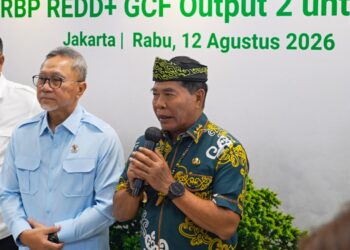 Kaltara Terima Rp 41,5 Miliar, Gubernur Fokuskan untuk Rehabilitasi Hutan