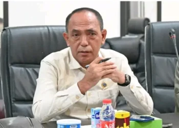 Kabel hingga Hewan Liar, Disebut Jadi Kendala Tersendatnya Jaringan Internet di Bulungan