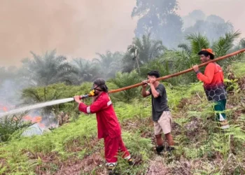Asap Karhutla Mulai Ganggu Kualitas Udara, Dishut Imbau Warga Waspada 
