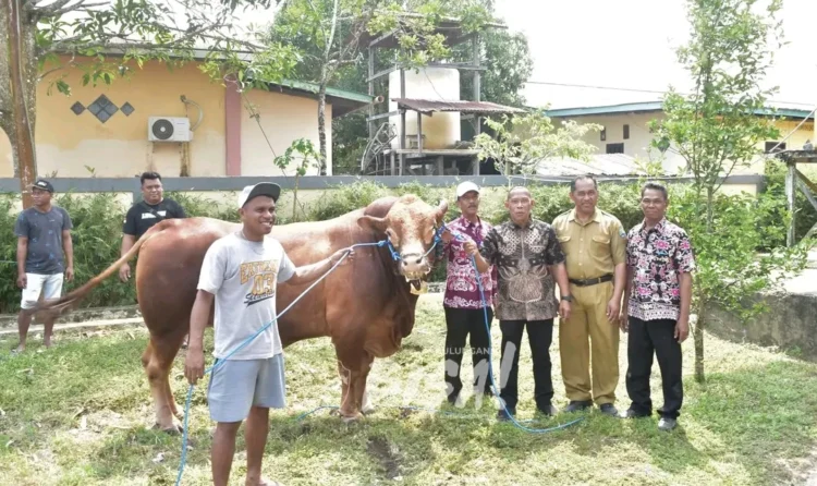 Bulungan Perkuat Sektor Peternakan untuk Tekan Ketergantungan Pasokan Luar