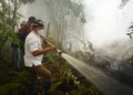 Gubernur Turun Langsung Padamkan Karhutla di Selimau